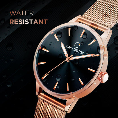 Carlington Elite Ladies Self Adjustable Mesh Strap Water Resistant Analog Watch